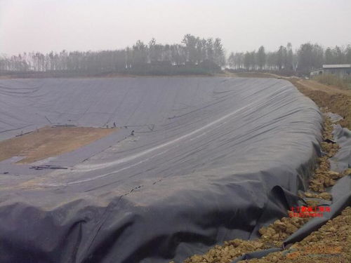 復(fù)合防水板生產(chǎn)廠家 為高速公路與隧道工程筑牢防水屏障